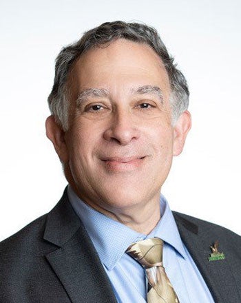 George Mason University Costello College of Business faculty Maury Peiperl headshot