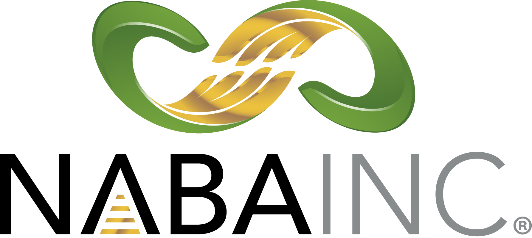 NABA Logo