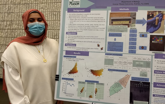 Biology Research Semester student Toqa Elashry successfully presenting her poster " CAN PLANTS BE IDENTIFIED BY THE COLOR OF THEIR POLLEN?" during the Annual Celebration of Biology Undergrad Research