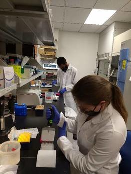Undergraduate students Quentin Jamison and Michelle Makula carrying out DNA sequencing lab work at the Lim lab.